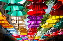 Historical Guided Day Tour : City - Sugar World - Botanical Garden