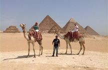 8Hour Tour of the Pyramids, Sphinx, Museum and including Camel Ride and Lunch 