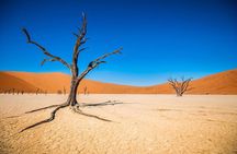5 Days Swakopmund and Sossusvlei | Guided Lodge