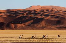 5 Days Swakopmund and Sossusvlei | Guided Lodge
