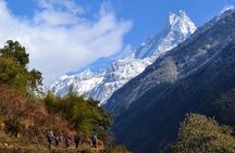 Conquer the Himalayas: The Ultimate 16-Day Annapurna Circuit Trek