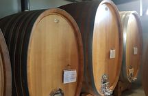 Languedoc Vineyard Tours