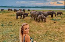  Sri Lanka V.I.P. private Tour package 4.N - 5 days oll including