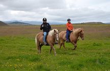 Family Friendly Horse Riding Tour in Skagafjörður