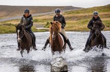 Family Friendly Horse Riding Tour in Skagafjörður
