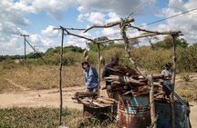 5 days Kasane to Maun Safari (Kasane, Chobe, Khwai, Moremi, Maun)