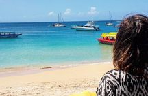 Tobago Island Tour
