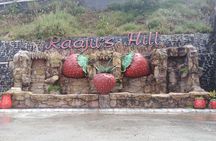 Cameron Highland Private Day Tour