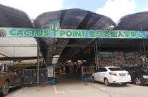 Cameron Highland Private Day Tour
