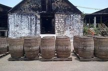Hampden Estate Rum Tour and Lunch from Montego Bay