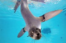 New England Aquarium Admission Ticket