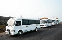 Cartagena Deluxe for Cruises - Private City Tour 