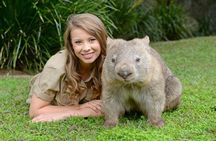  Australia Zoo Day Trip from Brisbane