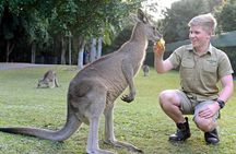  Australia Zoo Day Trip from Brisbane