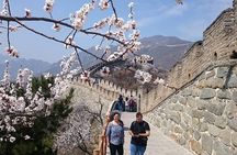 One Day Private Badaling Great Wall Hiking