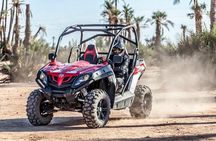 Buggy Tour in Marrakech Palm Grove 