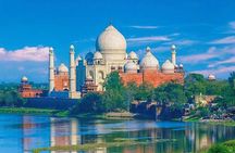 Same Day Tajmahal at Sunrise and SOS wildlife sanctuary tour 