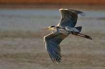Private 5-Day Overnight Safari In Kruger Park from Skukuza Airport