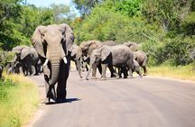 Private 5-Day Overnight Safari In Kruger Park from Skukuza Airport