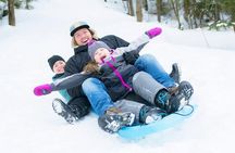 1-Day Snow Monkeys & Snow Fun in Shiga Kogen Tour