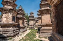  Longmen Grottoes and Shaolin Temple Day Tour