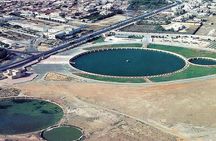 From Tunis, Sousse and Hammamet: Visit Kairouan and its great mosque