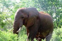 3 Day Amboseli Safari