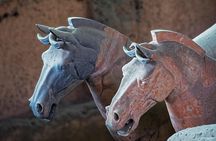 Private Xi'an Tour: Terracotta Warriors, Hanyangling Museum, Cave Homes