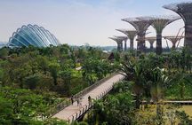 Private One Day Highlight Tour of Singapore with Singapore Flyer