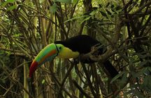 Visit to La Reserva BioPark Private Tour (6 Hrs.)