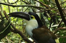 Visit to La Reserva BioPark Private Tour (6 Hrs.)