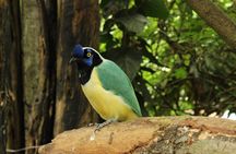 Visit to La Reserva BioPark Private Tour (6 Hrs.)