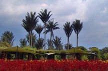 Botanical Garden Bogotá Private Tour (4 Hrs.)