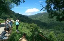 Trinidad Nature and Asa Wright Center Full-Day Tour from Port of Spain