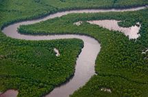 Sunset Boat Tour into Caroni Wetlands