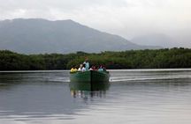 Sunset Boat Tour into Caroni Wetlands