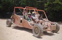 Family Buggy - Suzuka Tours Punta Cana