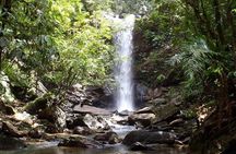 Trinidad Rainforest Hike to Waterfall