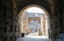 Colosseum Arena Floor, Roman Forum & Palatine Hill Guided Group Tour
