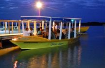Luminous Lagoon & Rose Hall Haunted Night Tour from Montego Bay