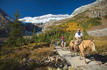 Western Trails - One Way Vancouver To Calgary Rockies Bus Tour