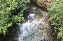 Unforgettable Whistler ( Full Day Private Tour)