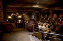 2 great days discovering Santiago, Casablanca, Valparaiso: wine + food& history