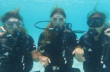 Become certified diver in 3 days - PADI Open Water Diver course on Koh Tao