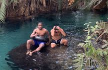  Materuni Waterfalls, Visiting Chagga Village, CoffeeTour Kikuletwa Hotsprings