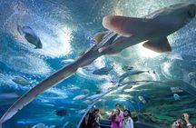 PATTAYA: Join Tour Under Water World Pattaya