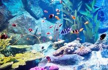 PATTAYA: Join Tour Under Water World Pattaya