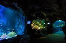 PATTAYA: Join Tour Under Water World Pattaya