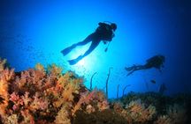 Cabo San Lucas PADI Open Water Certified Diver Course