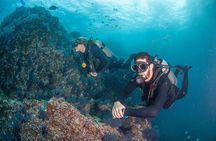 Cabo San Lucas PADI Open Water Certified Diver Course